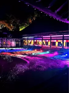 瑞巌寺の臥龍梅