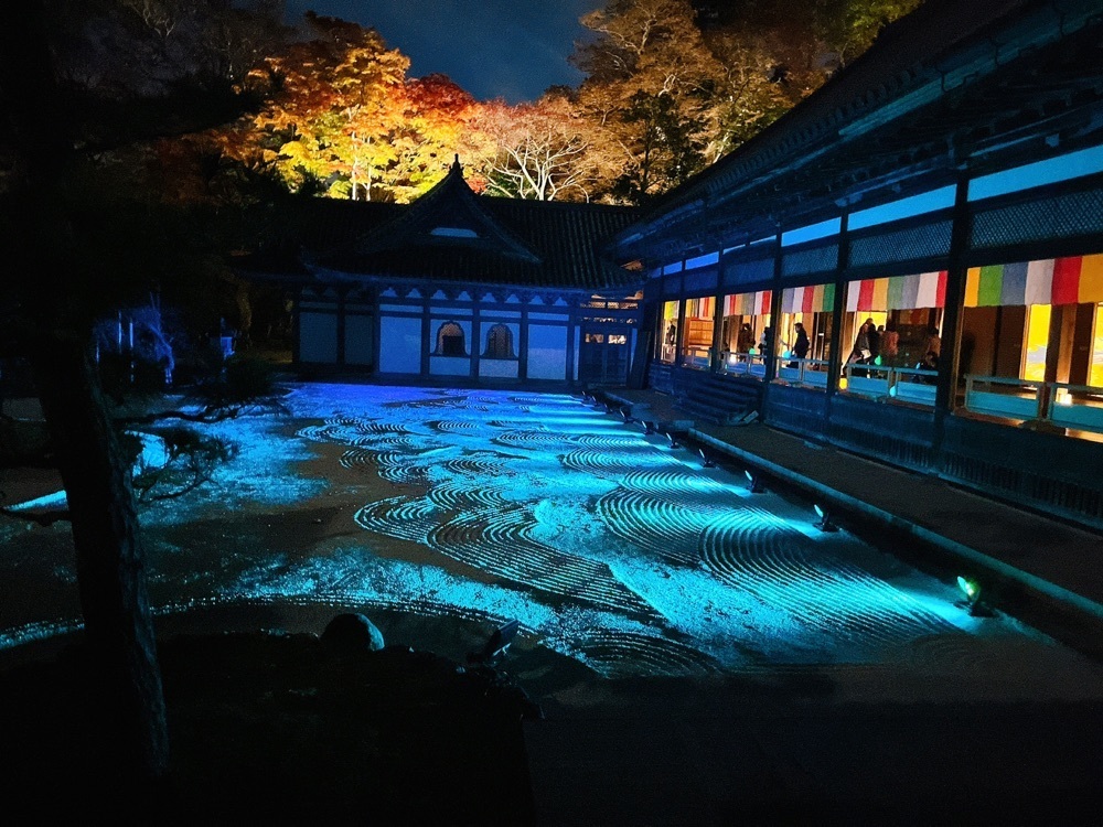 猫なぎ。さんが投稿した瑞巌寺の臥龍梅に関する口コミの画像