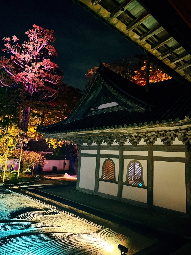 猫なぎ。さんが投稿した瑞巌寺の臥龍梅に関する口コミの画像