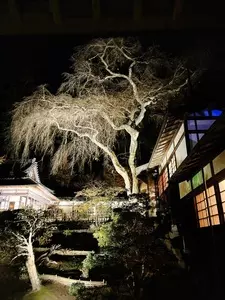 瑞巌寺宝物館
