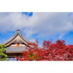 正法寺（しょうぼうじ）