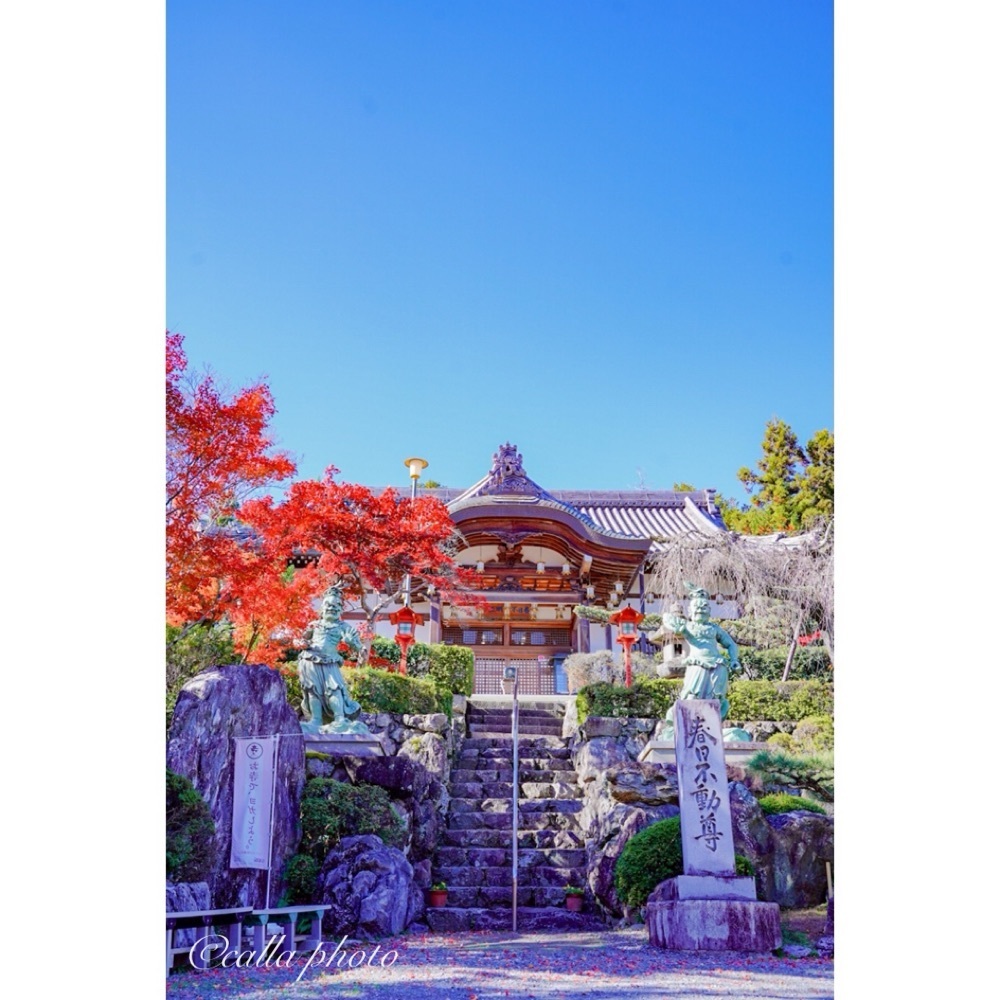 urban_garden_243aさんが投稿した正法寺（しょうぼうじ）に関する口コミの画像
