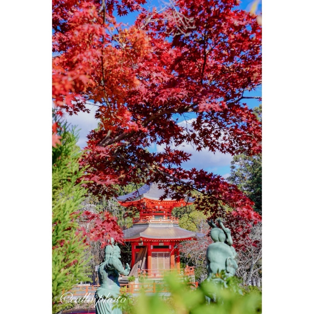 urban_garden_243aさんが投稿した正法寺（しょうぼうじ）に関する口コミの画像