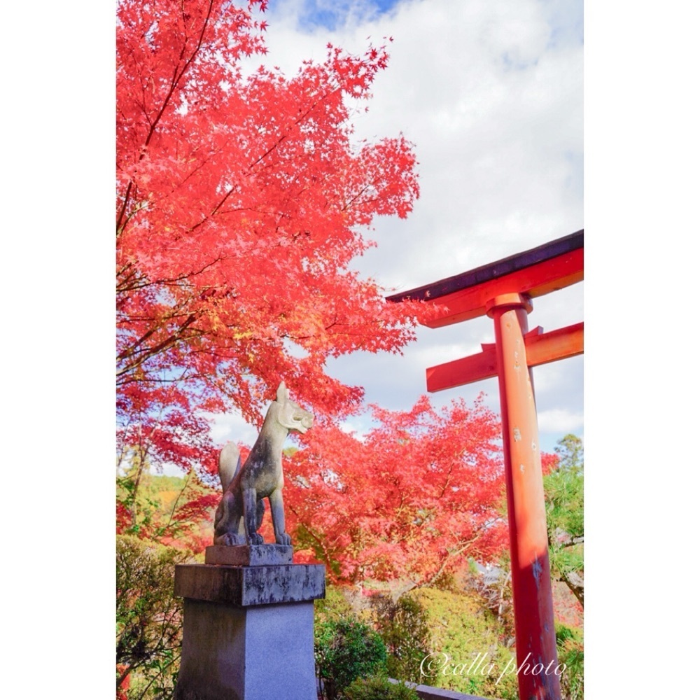 urban_garden_243aさんが投稿した正法寺（しょうぼうじ）に関する口コミの画像