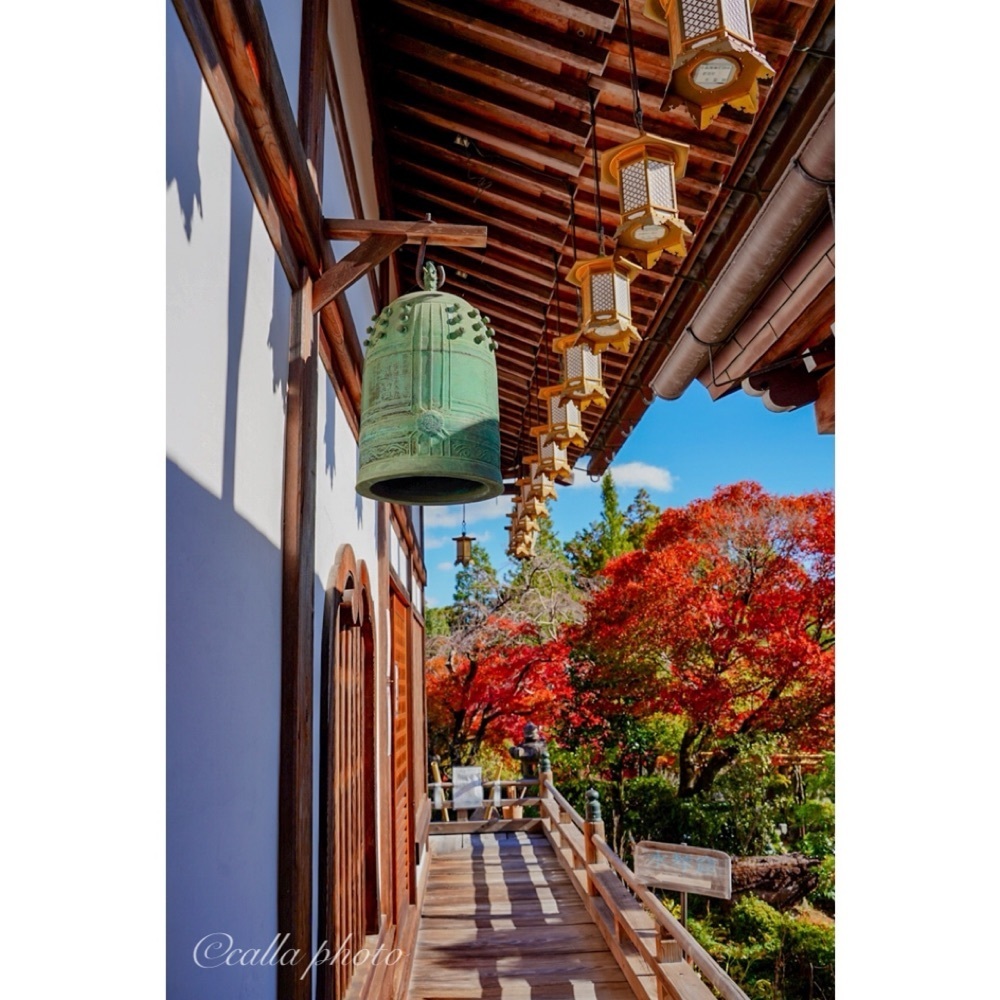 urban_garden_243aさんが投稿した正法寺（しょうぼうじ）に関する口コミの画像