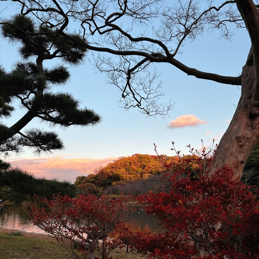 みーさんが投稿した三溪園茶寮に関する口コミの画像