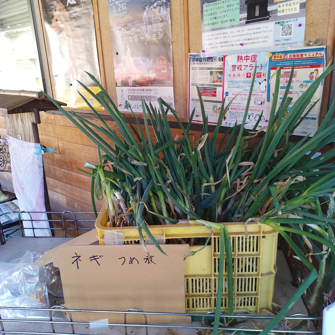 のんびりんこさんが投稿したいずみ亭に関する口コミの画像