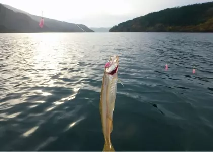 芦ノ湖フィッシングセンターおおば
