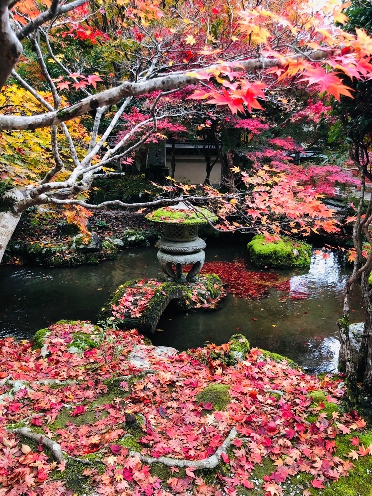 nicanさんが投稿した龍泉寺（奈良県天川村）に関する口コミの画像