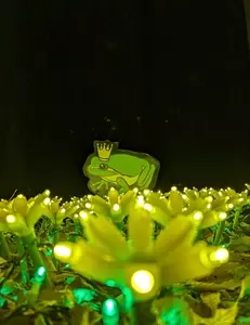 グリムの森、グリムの館