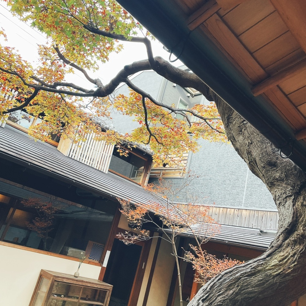 Danjouさんが投稿した唐丸に関する口コミの画像