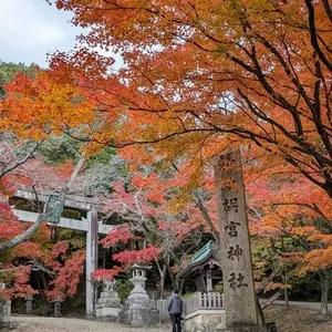 胡宮神社