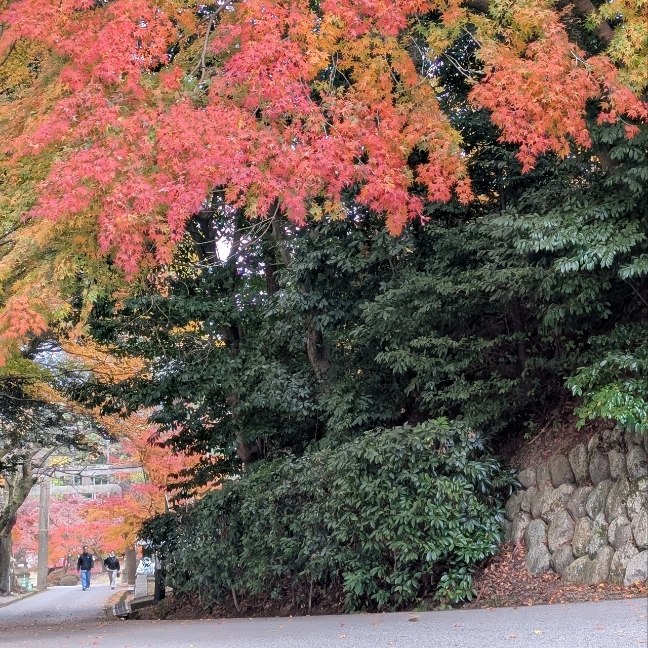 ぬっくさんが投稿した胡宮神社に関する口コミの画像