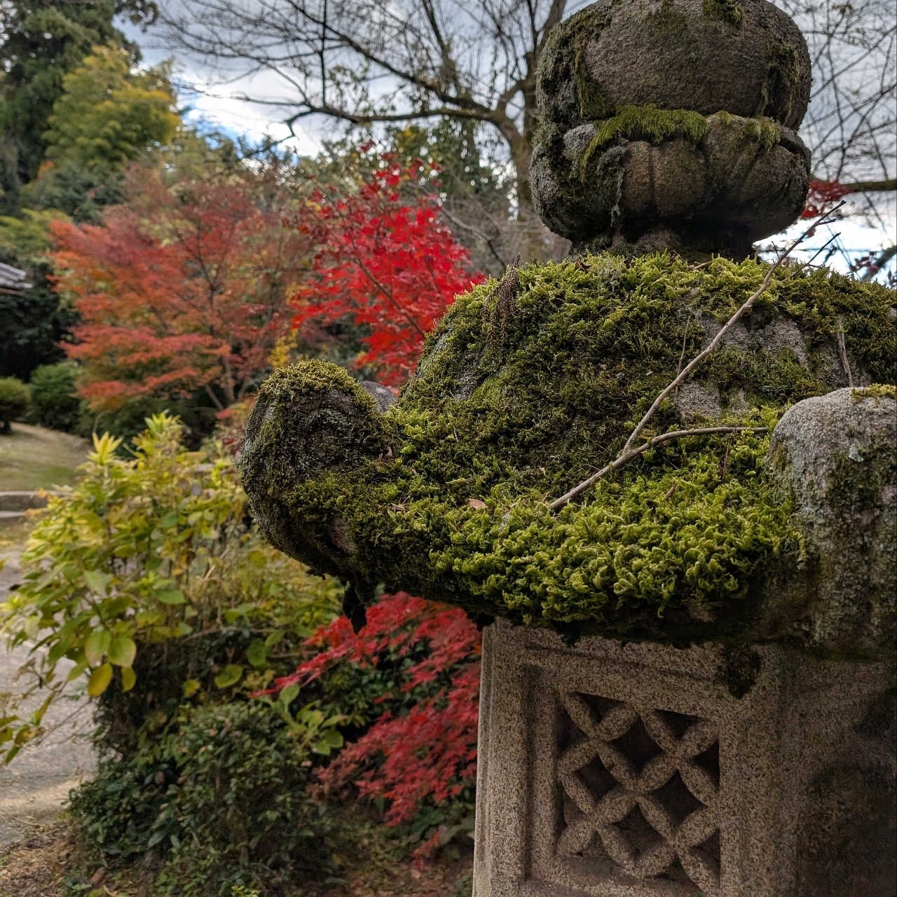 ぬっくさんが投稿した胡宮神社に関する口コミの画像