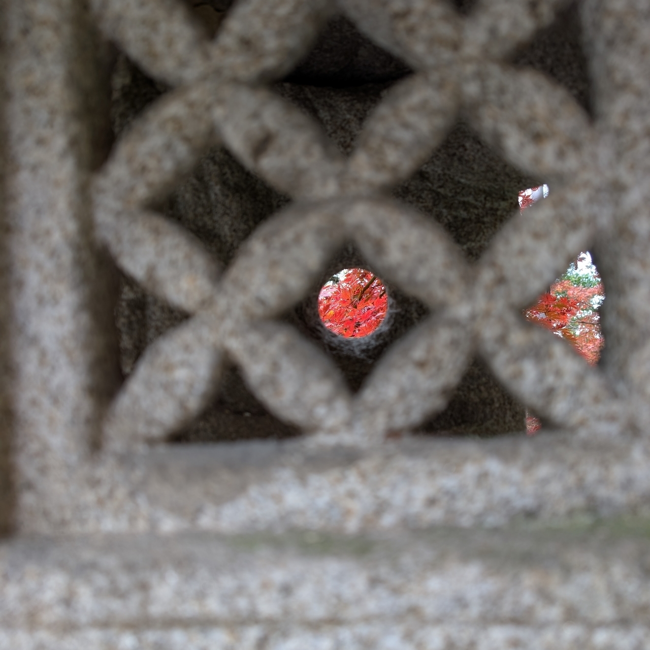 ぬっくさんが投稿した胡宮神社に関する口コミの画像