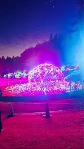 東松山ぼたん園のぼたん