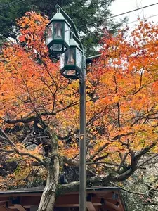 天成園