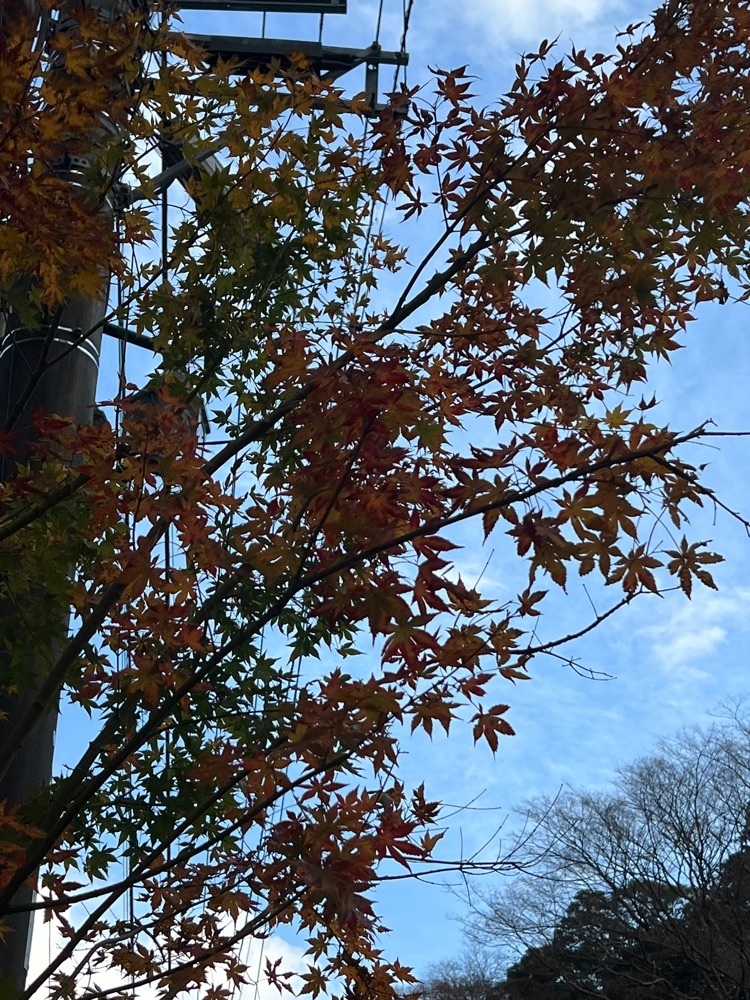 asomogさんが投稿した天成園に関する口コミの画像
