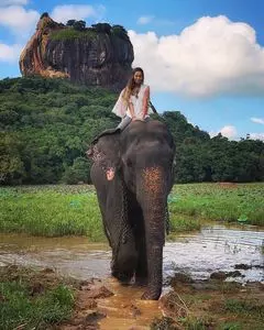BLOSSOMS SRI LANKAN RESTAURANT（ブロッサム スリランカレストラン）