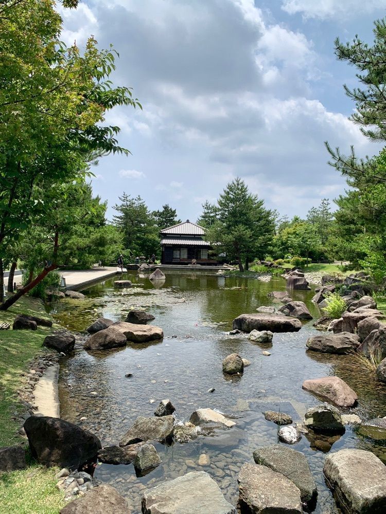 ポッキー28さんが投稿したスターバックスコーヒー 二子玉川公園店（Starbucks Coffee 二子玉川公園店）に関する口コミの画像
