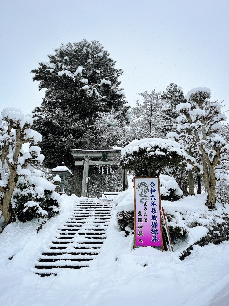 猫なぎ。さんが投稿した豊龍神社の大杉に関する口コミの画像