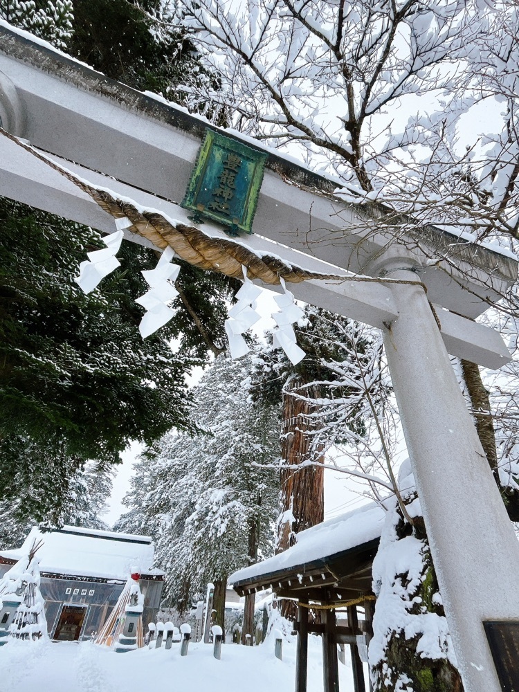 猫なぎ。さんが投稿した豊龍神社の大杉に関する口コミの画像