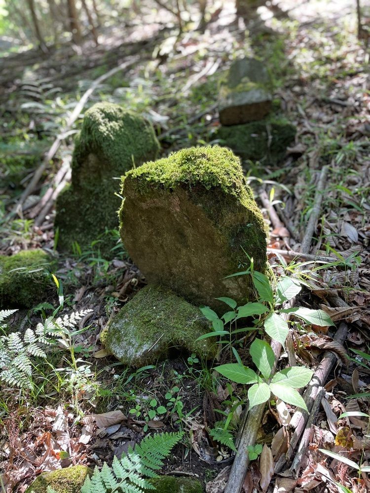 Hamachiさんが投稿した霊山寺（三重県伊賀市）に関する口コミの画像