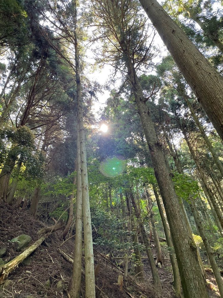 Hamachiさんが投稿した霊山寺（三重県伊賀市）に関する口コミの画像