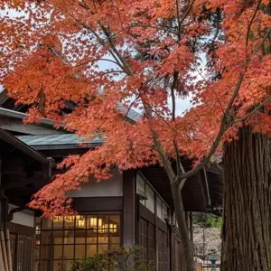 寿命そば