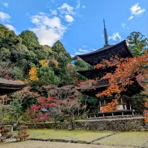 西明寺三重塔