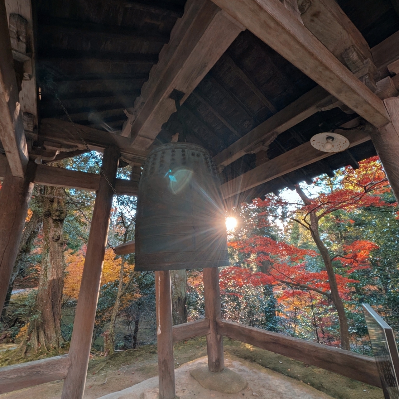 ぬっくさんが投稿した西明寺三重塔に関する口コミの画像