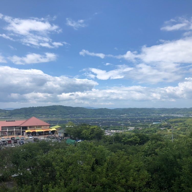 タッキーさんが投稿したブルーライン一本松に関する口コミの画像
