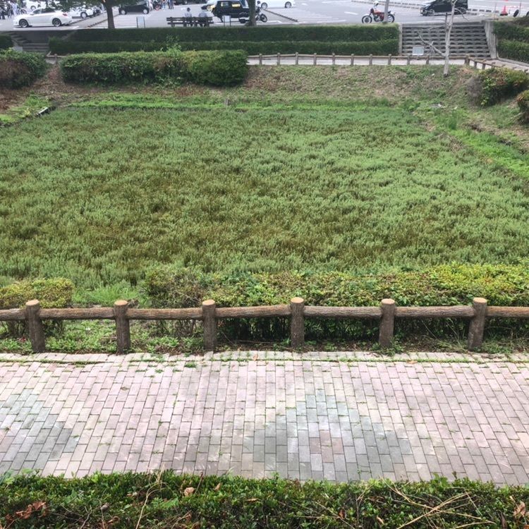 タッキーさんが投稿した道の駅 一本松展望園に関する口コミの画像