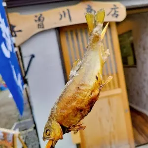 木曽川商店
