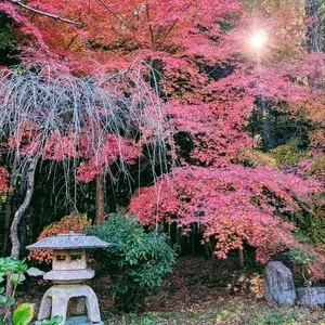 本城山青少年公園