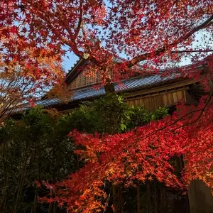 本城山青少年公園