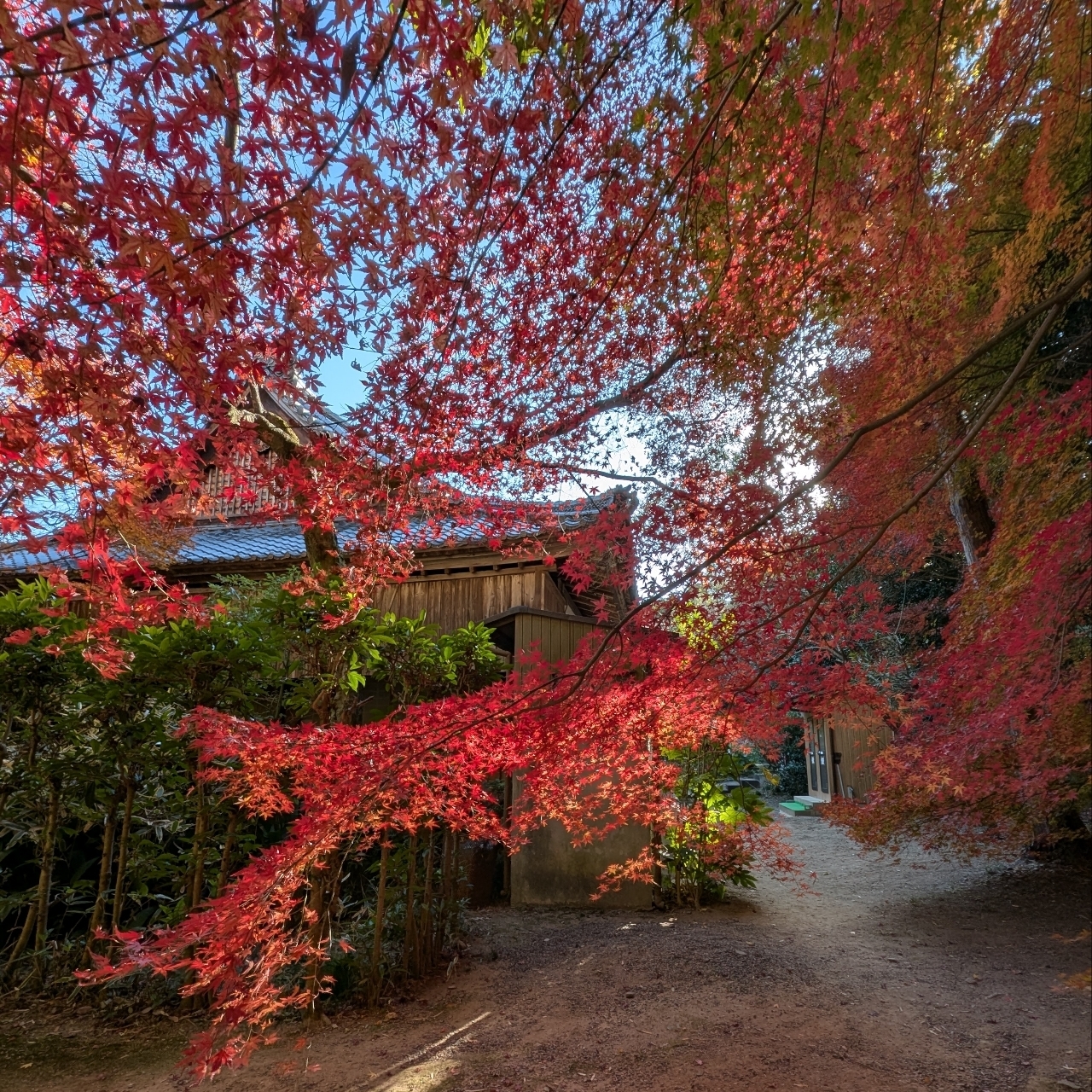ぬっくさんが投稿した本城山青少年公園に関する口コミの画像