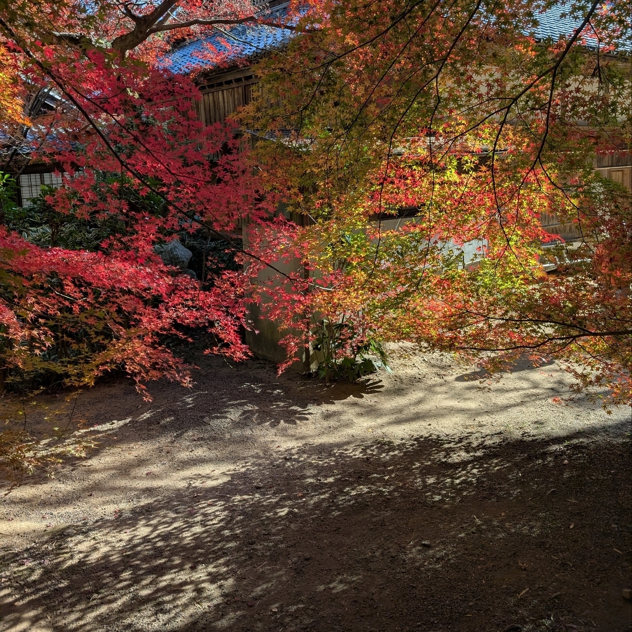 ぬっくさんが投稿した本城山青少年公園に関する口コミの画像