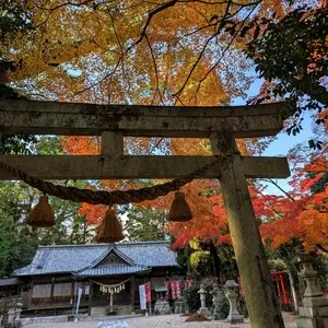 亀山公園