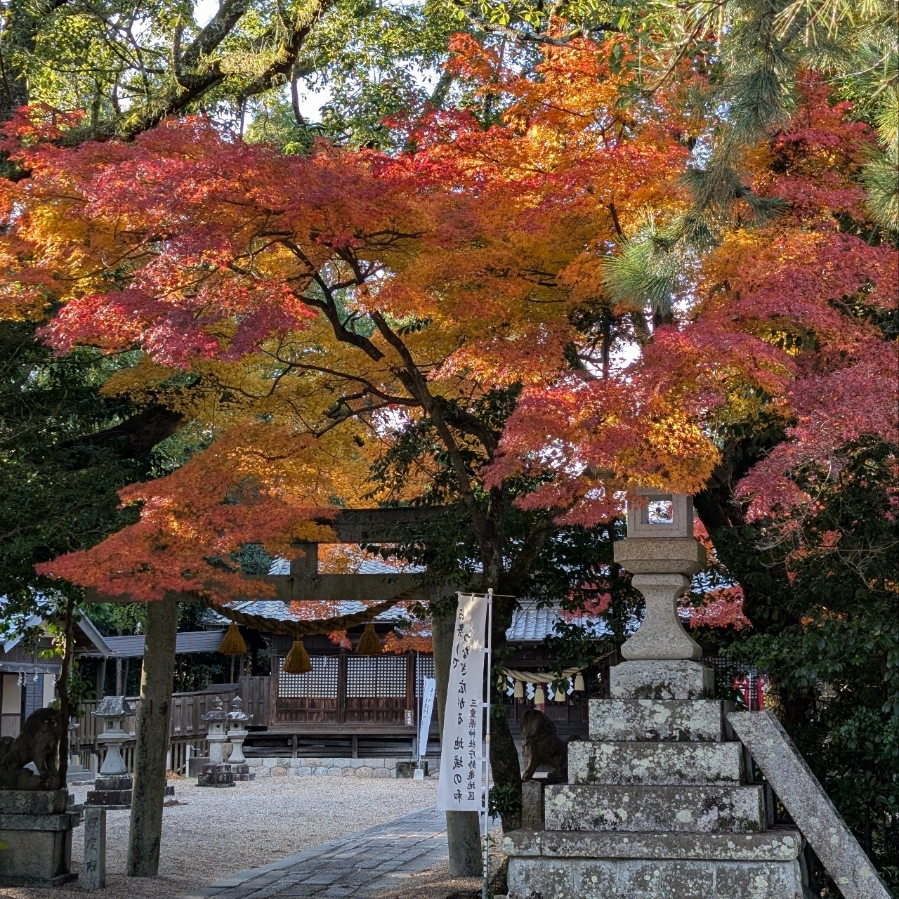ぬっくさんが投稿した亀山公園に関する口コミの画像