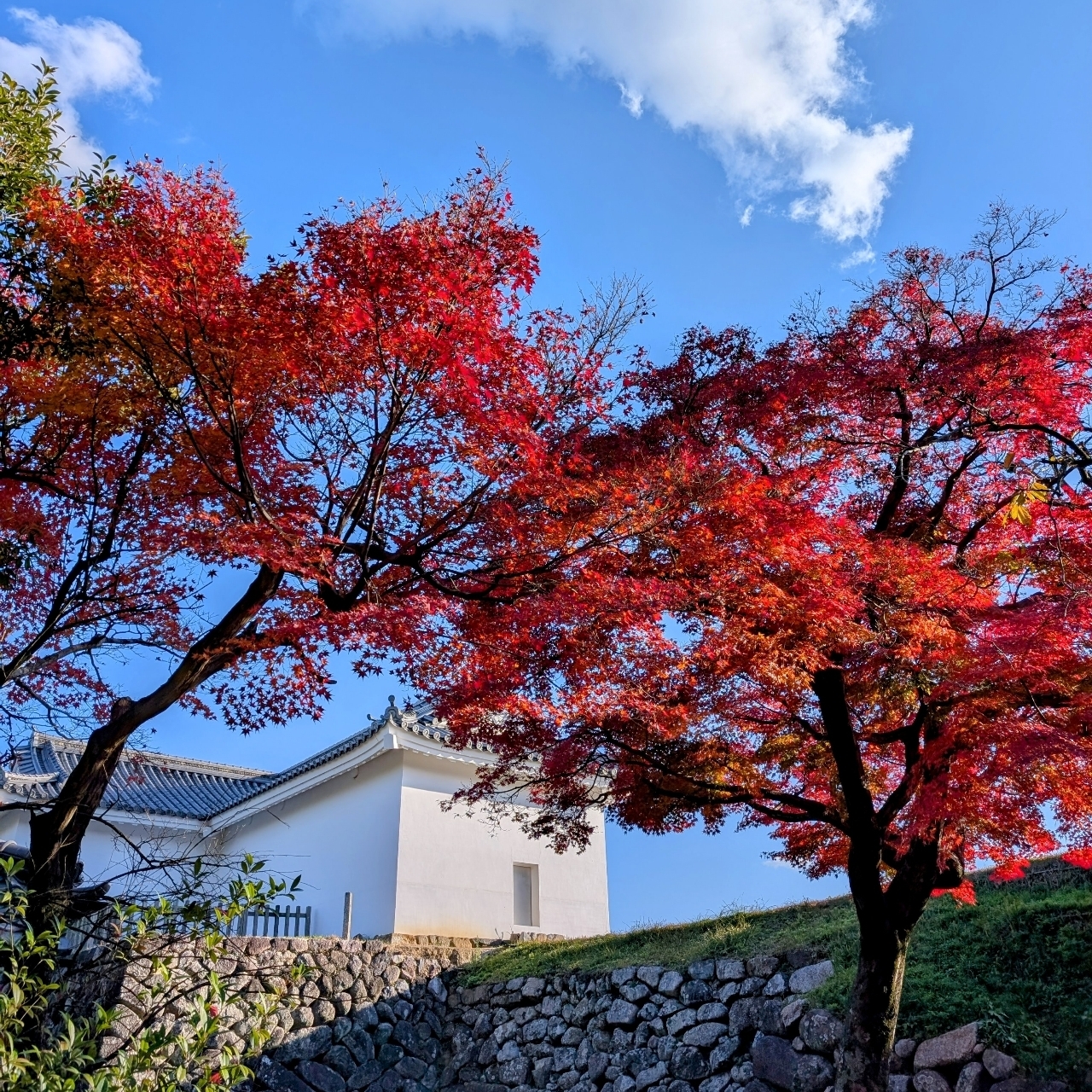 ぬっくさんが投稿した亀山公園に関する口コミの画像