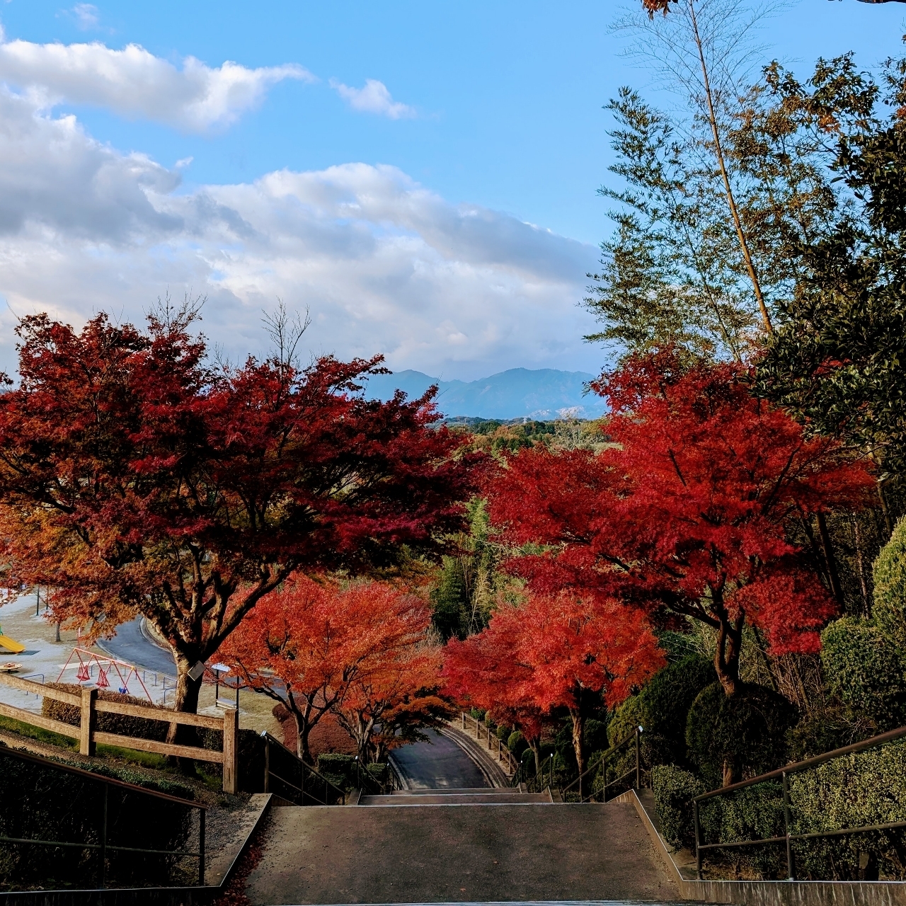 ぬっくさんが投稿した亀山公園に関する口コミの画像