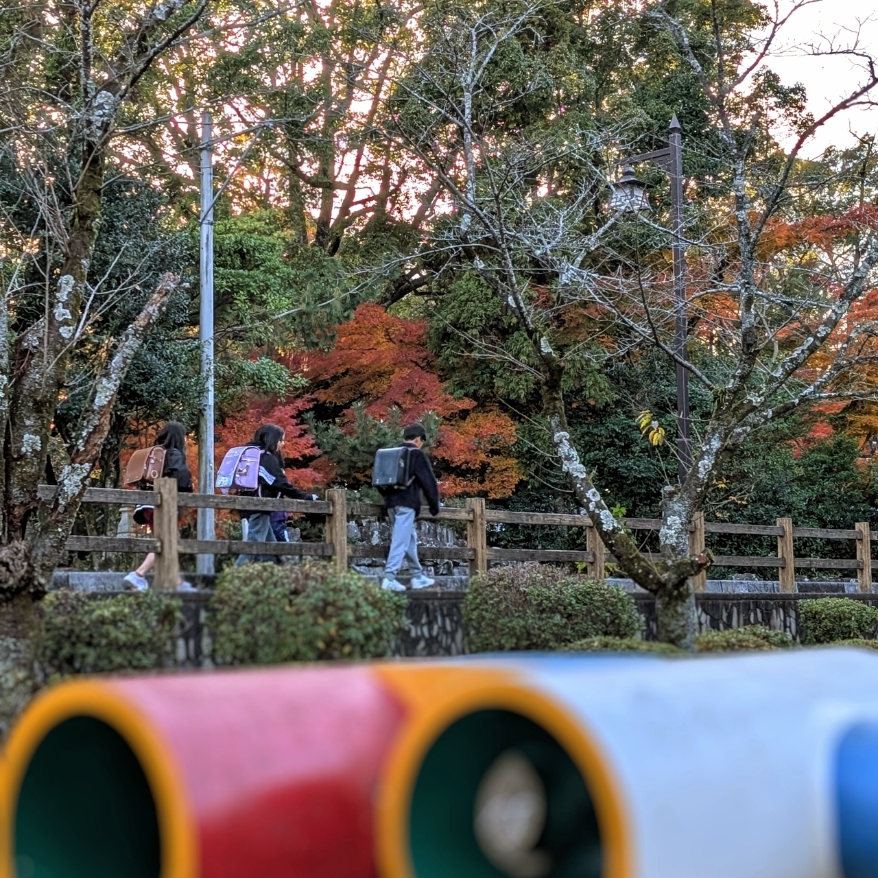 ぬっくさんが投稿した亀山公園に関する口コミの画像