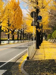 セブンイレブン 天理大学