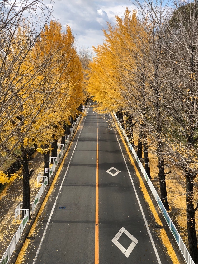 nicanさんが投稿したセブンイレブン 天理大学に関する口コミの画像
