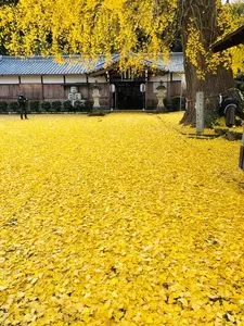 丹生酒殿神社