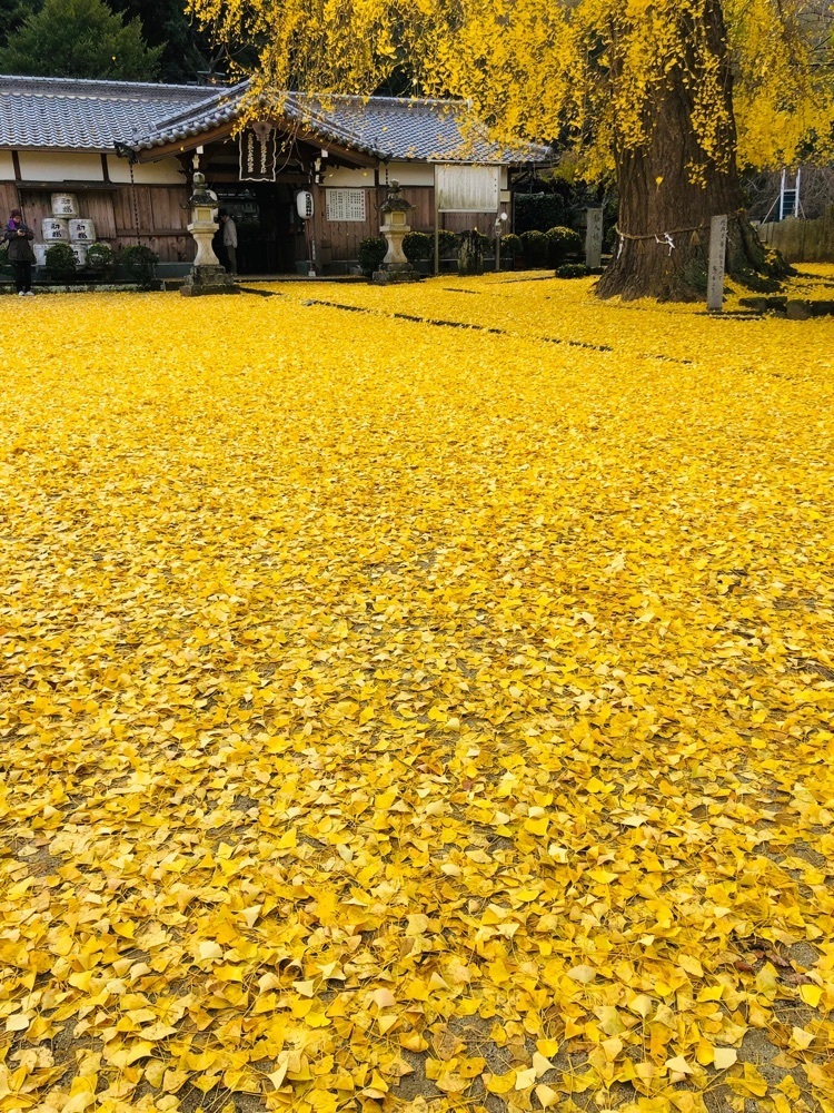 nicanさんが投稿した丹生酒殿神社に関する口コミの画像