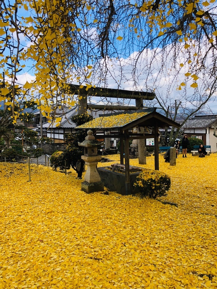 nicanさんが投稿した丹生酒殿神社に関する口コミの画像