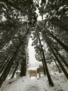 深山観音寺観音堂