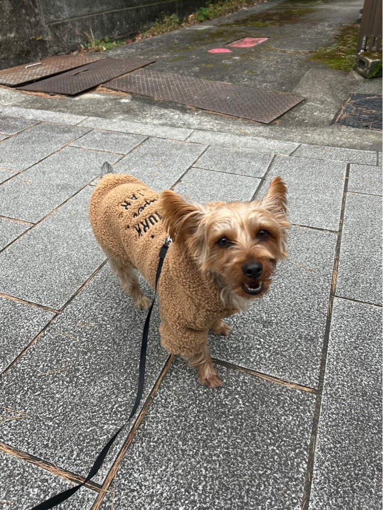 かよこさんが投稿した不動滝茶屋に関する口コミの画像